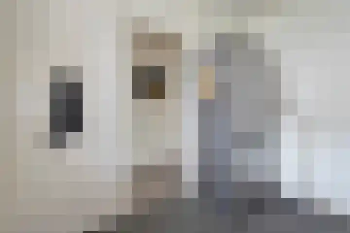Frerikshuislaan 3 Almelo thumbnail 11