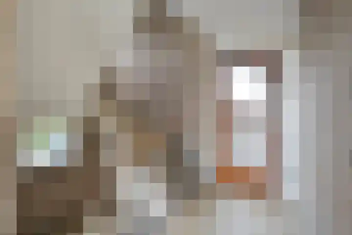 Frerikshuislaan 3 Almelo thumbnail 20