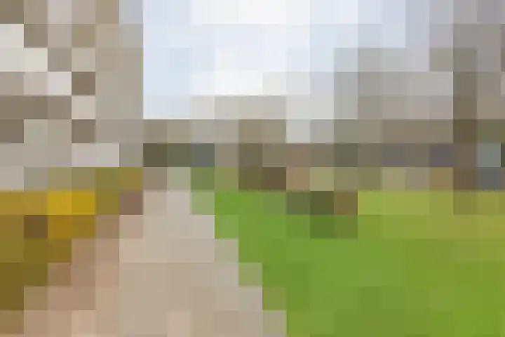 Frerikshuislaan 3 Almelo thumbnail 23