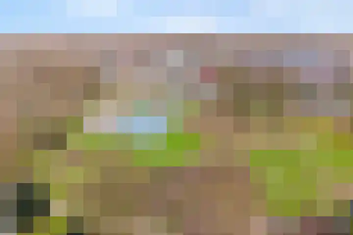 Frerikshuislaan 3 Almelo thumbnail 24