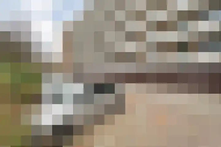 Frerikshuislaan 3 Almelo thumbnail 26