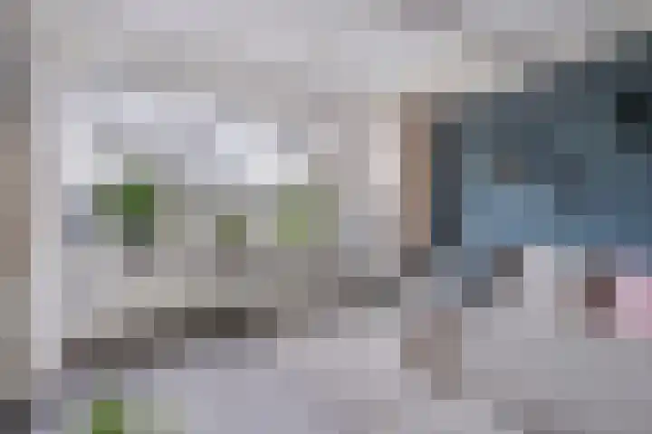 Frerikshuislaan 3 Almelo thumbnail 6