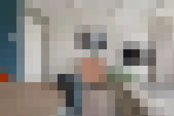 Frerikshuislaan 3 Almelo thumbnail 9
