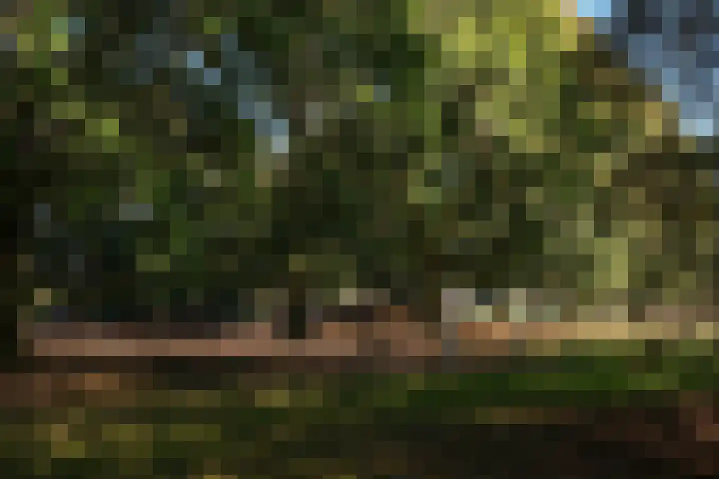 Frerikshuislaan 99 Almelo thumbnail 24