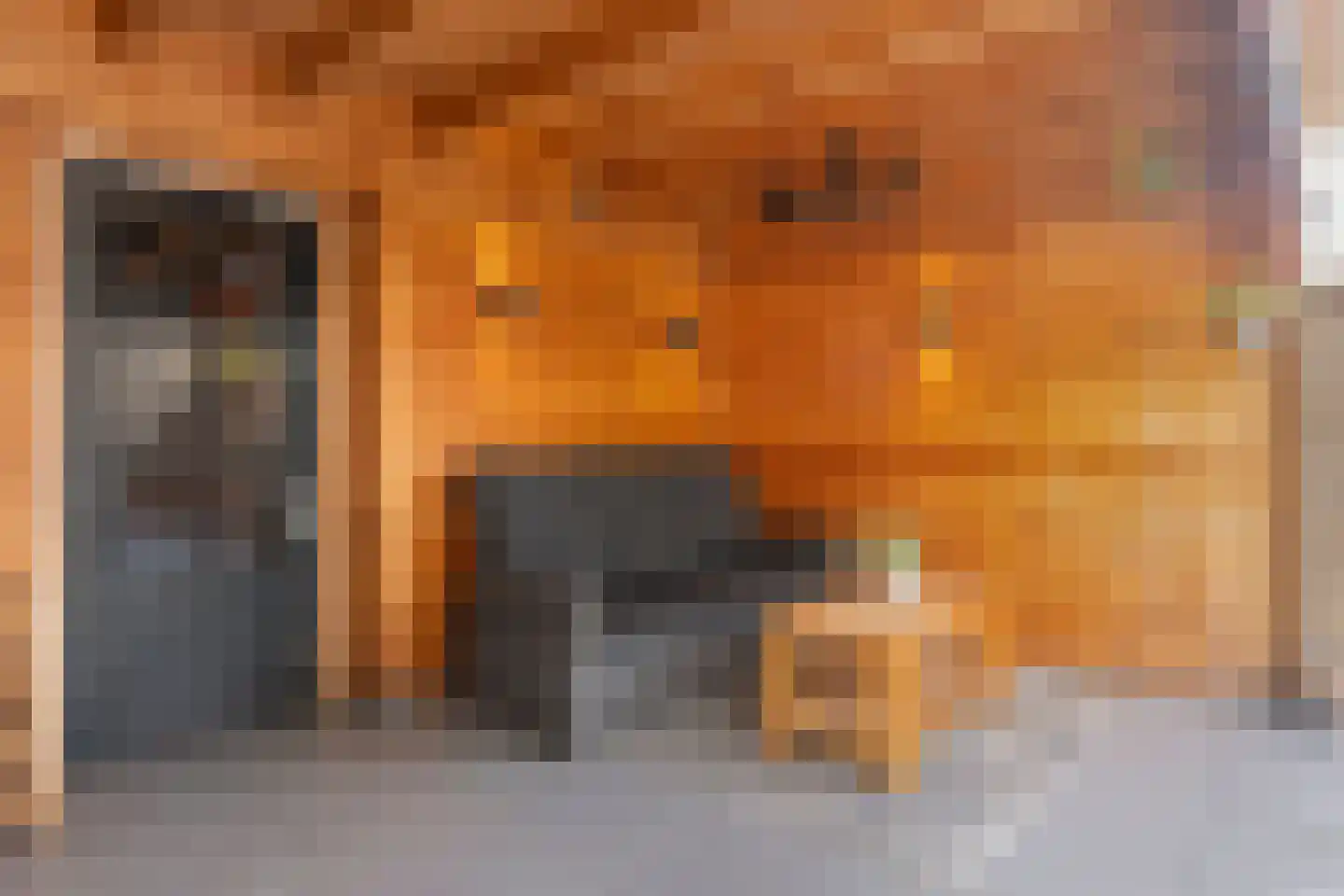 Frescobaldistraat 116 Purmerend thumbnail 32