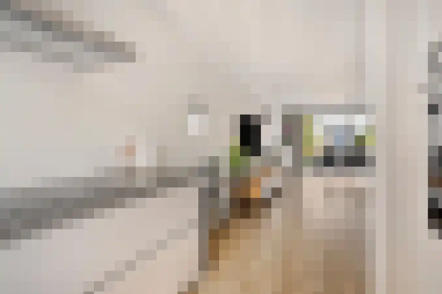 Frescobaldistraat 84 Purmerend thumbnail 17
