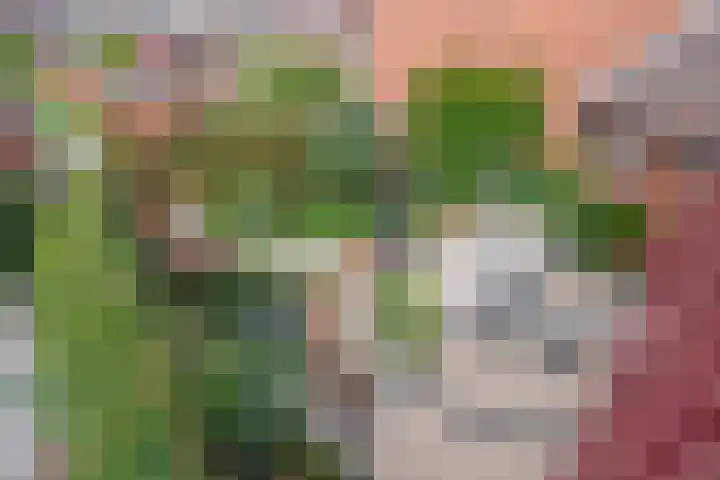 Fresia 111 Krimpen aan den IJssel thumbnail 30
