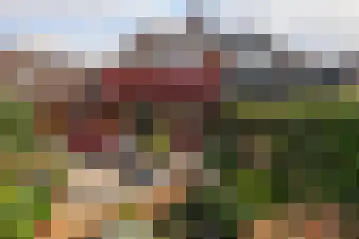 Fresia 111 Krimpen aan den IJssel thumbnail 42