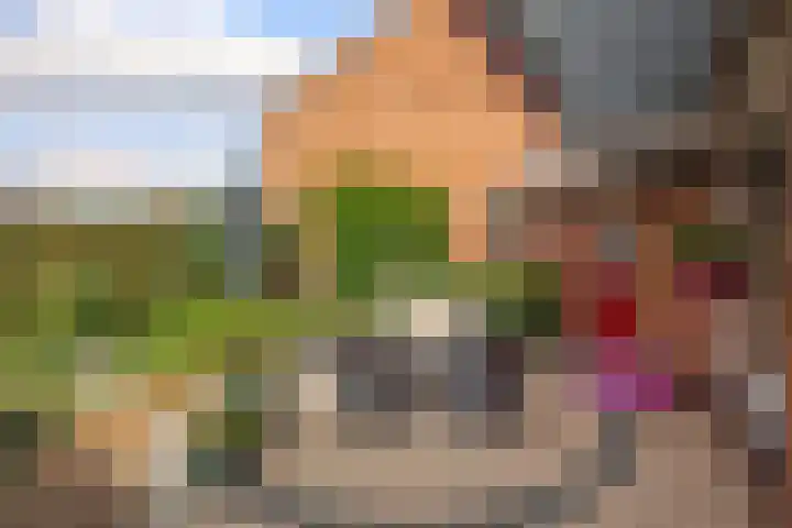 Fresia 111 Krimpen aan den IJssel thumbnail 44