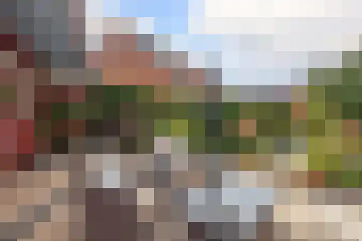 Fresia 111 Krimpen aan den IJssel thumbnail 45