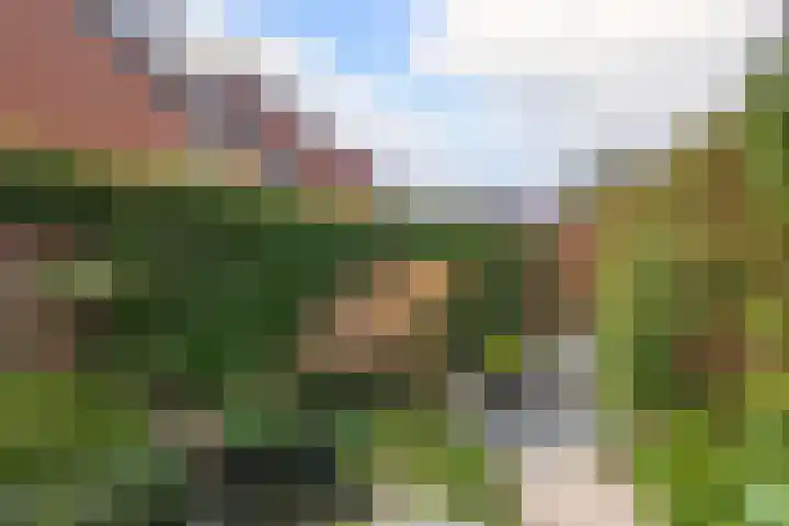 Fresia 111 Krimpen aan den IJssel thumbnail 47