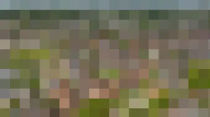 Fresia 111 Krimpen aan den IJssel thumbnail 48