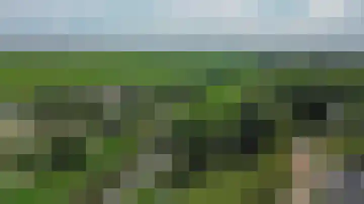 Fresia 111 Krimpen aan den IJssel thumbnail 51