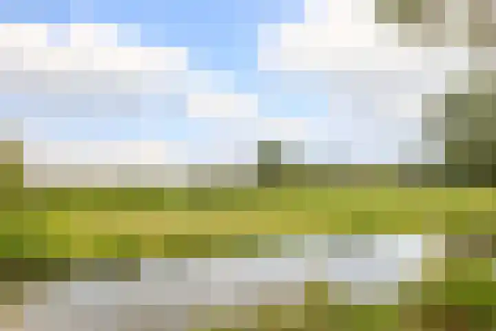 Fresia 111 Krimpen aan den IJssel thumbnail 52