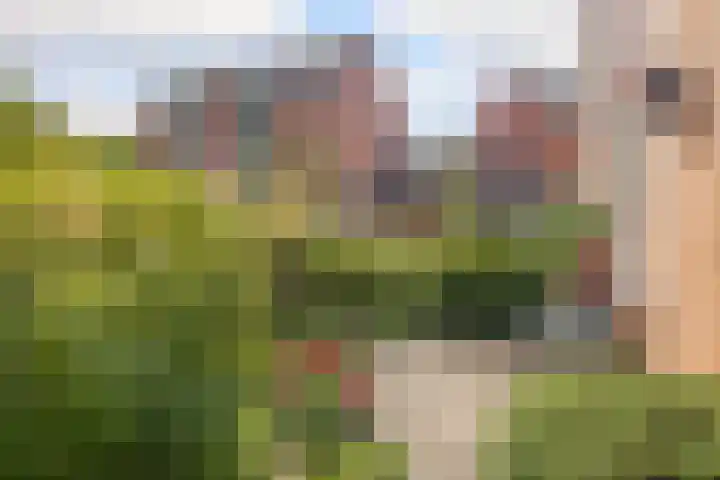 Fresia 111 Krimpen aan den IJssel thumbnail 6