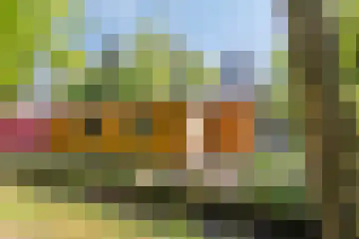 Fresia 2 Vinkel thumbnail 4
