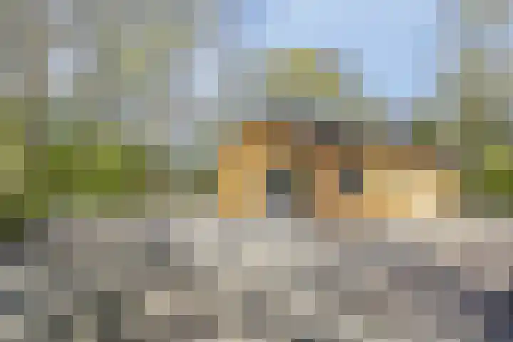 Fresia 2 Vinkel thumbnail 6