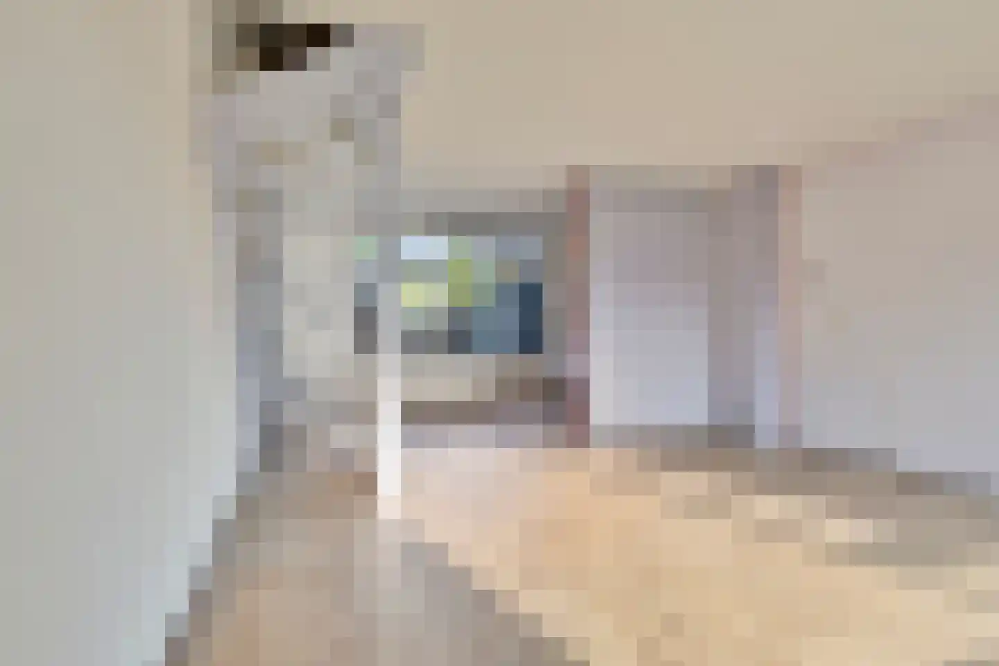 Fresia 3 Krimpen aan den IJssel thumbnail 6
