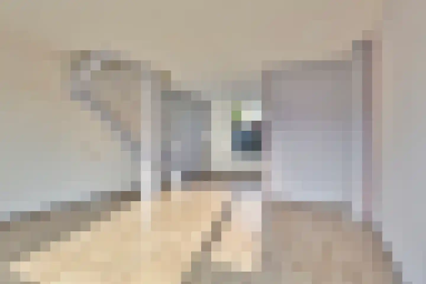 Fresia 3 Krimpen aan den IJssel thumbnail 7