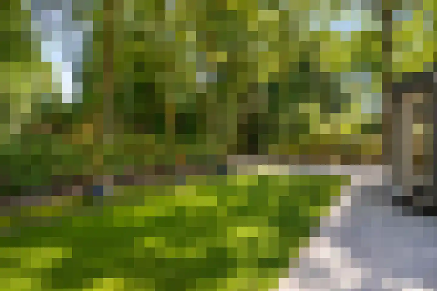 Fresia 31 Vinkel thumbnail 10