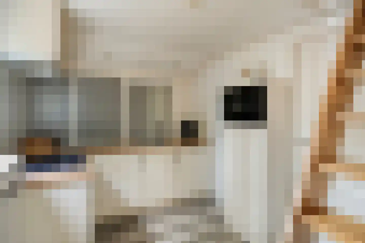 Fresia 31 Vinkel thumbnail 13