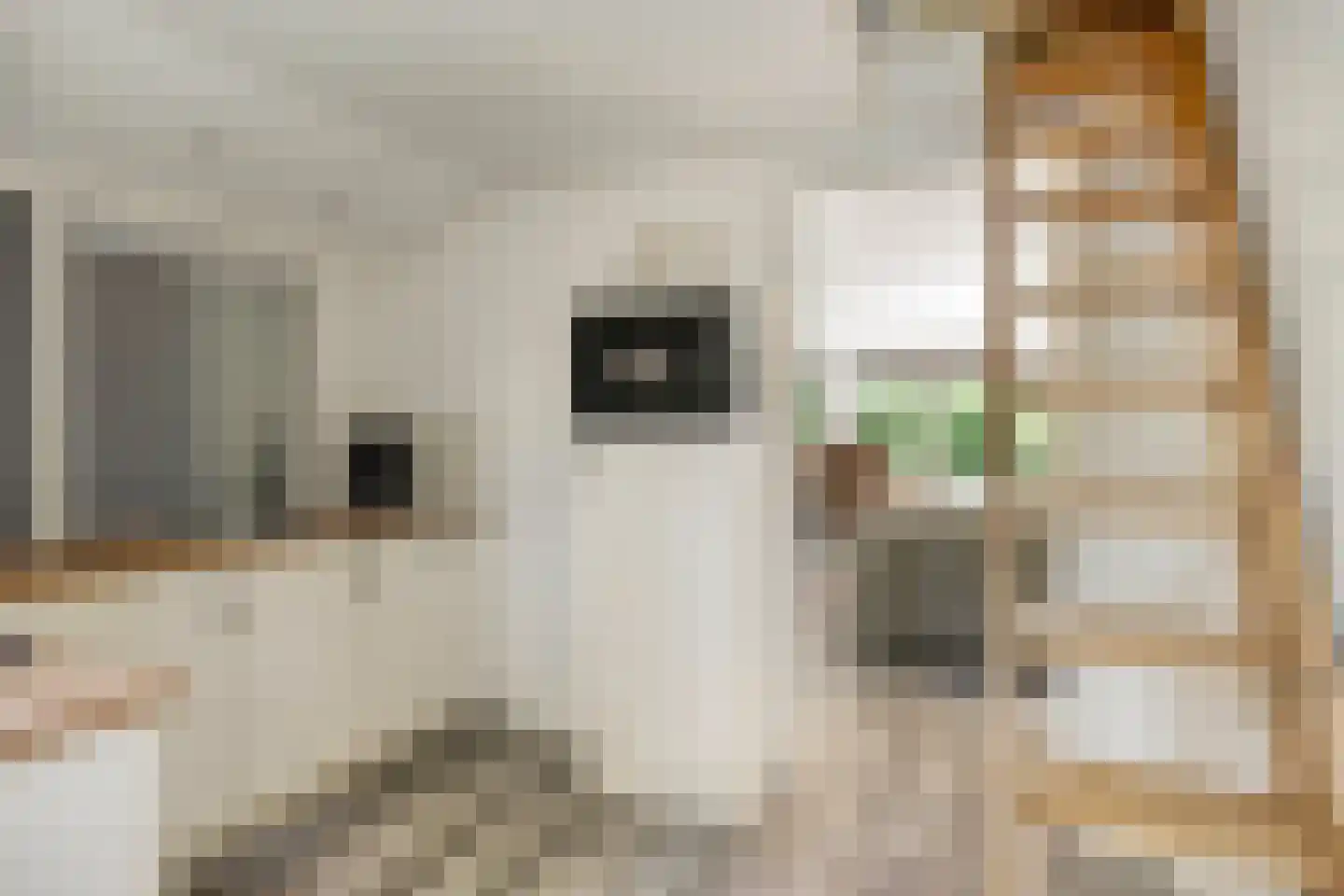 Fresia 31 Vinkel thumbnail 14