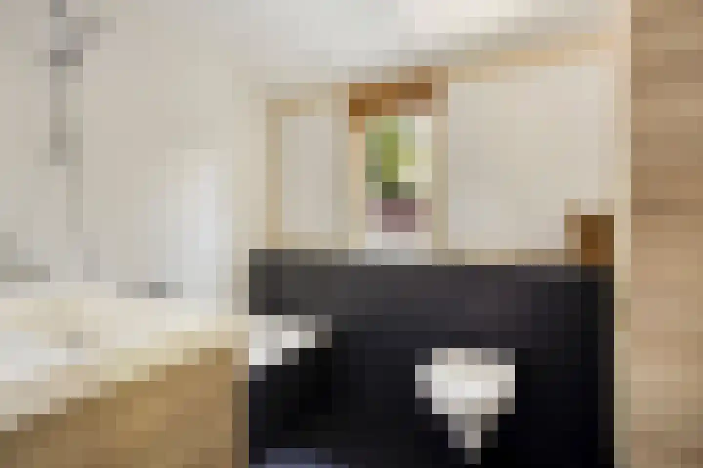 Fresia 31 Vinkel thumbnail 18