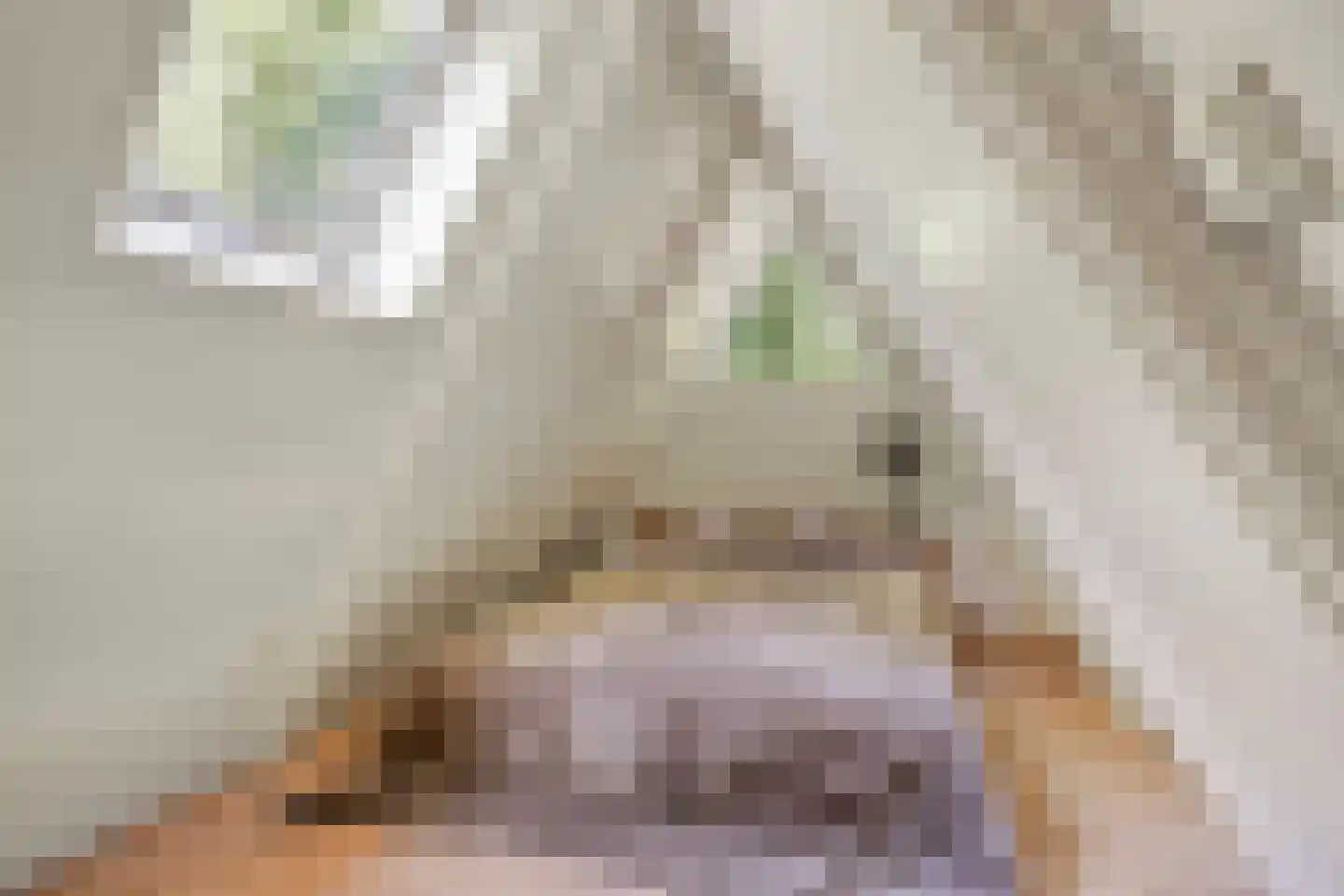 Fresia 31 Vinkel thumbnail 19