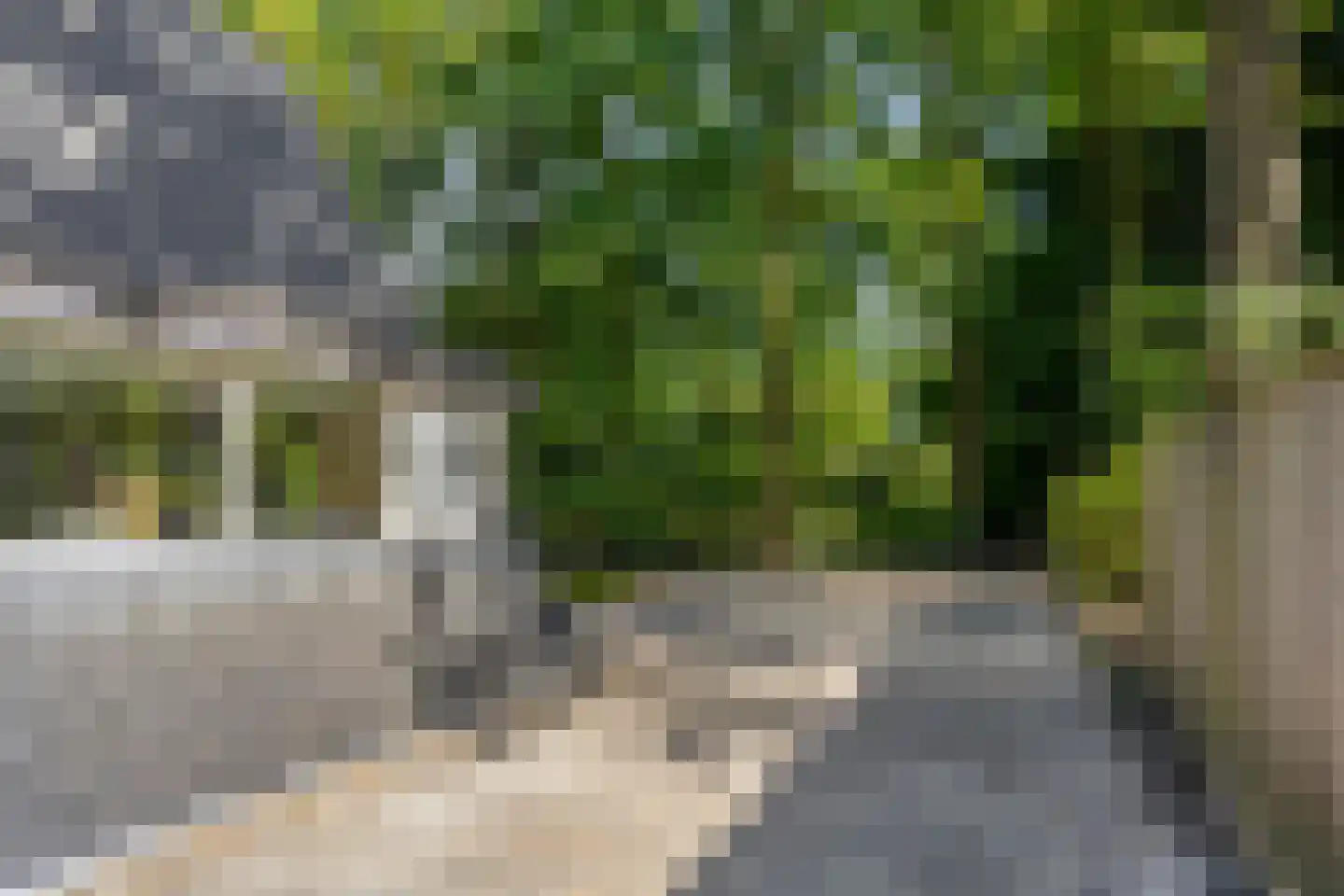 Fresia 31 Vinkel thumbnail 22