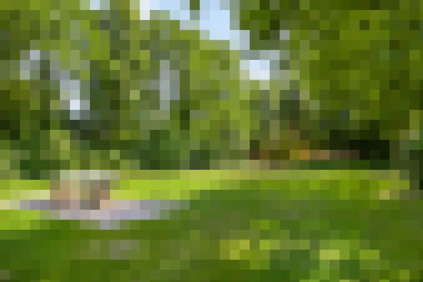 Fresia 31 Vinkel thumbnail 24