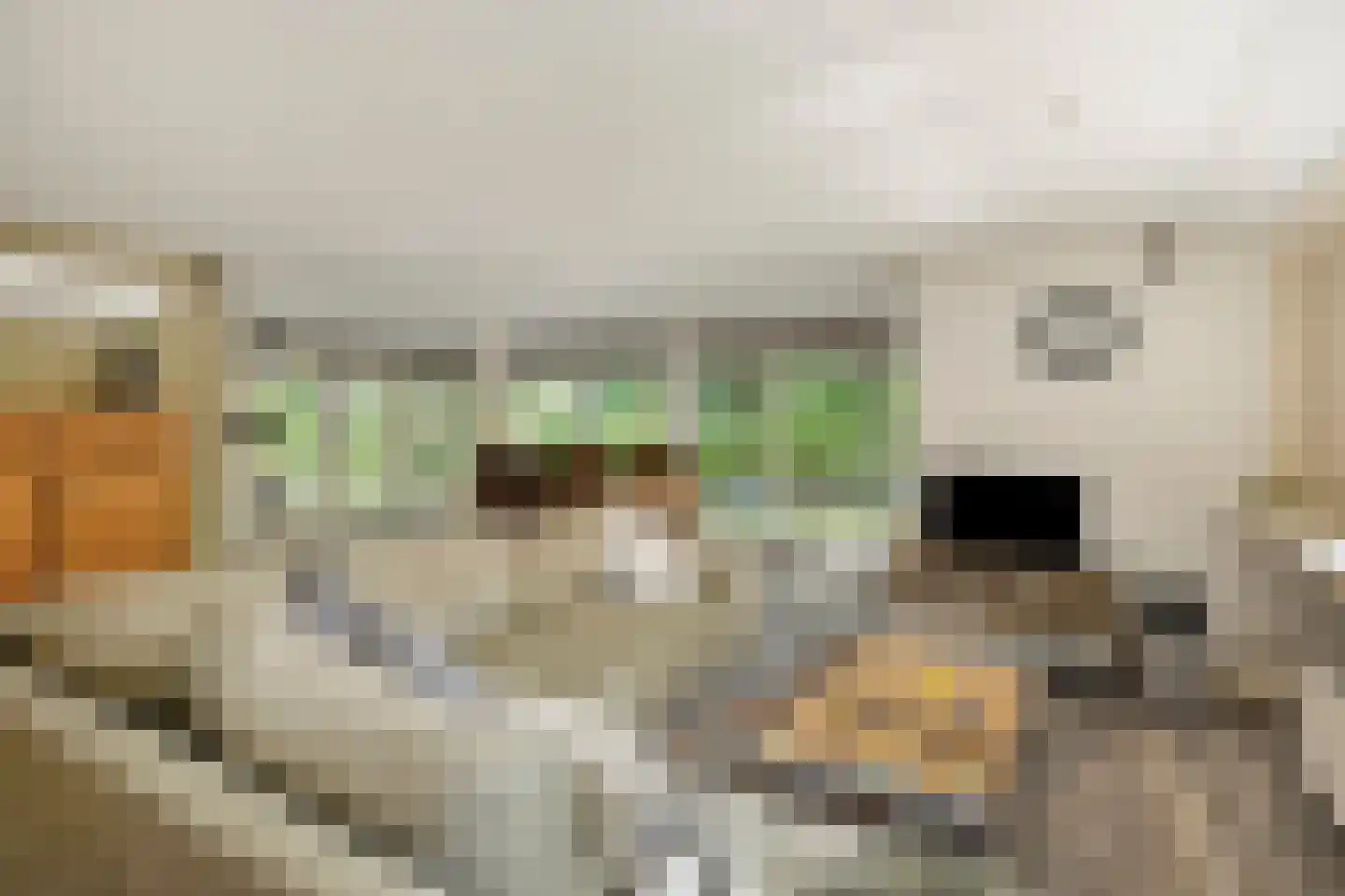 Fresia 31 Vinkel thumbnail 4