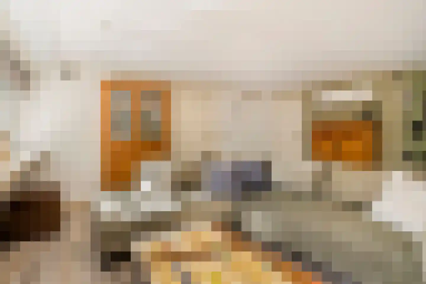 Fresia 31 Vinkel thumbnail 5