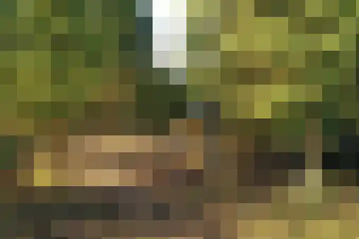 Fresia 39 Vinkel thumbnail 10