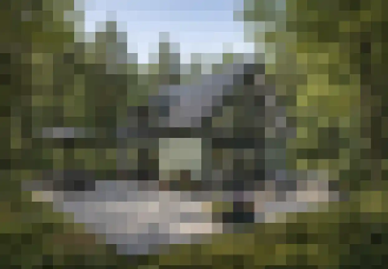 Fresia 39 Vinkel thumbnail 12