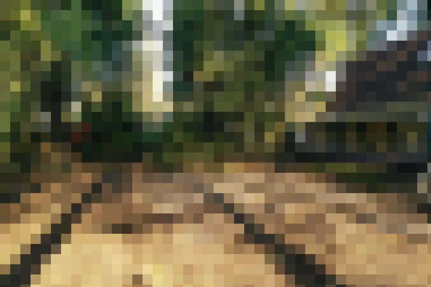 Fresia 39 Vinkel thumbnail 5