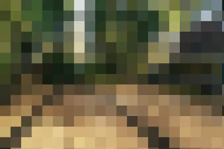 Fresia 39 Vinkel thumbnail 5