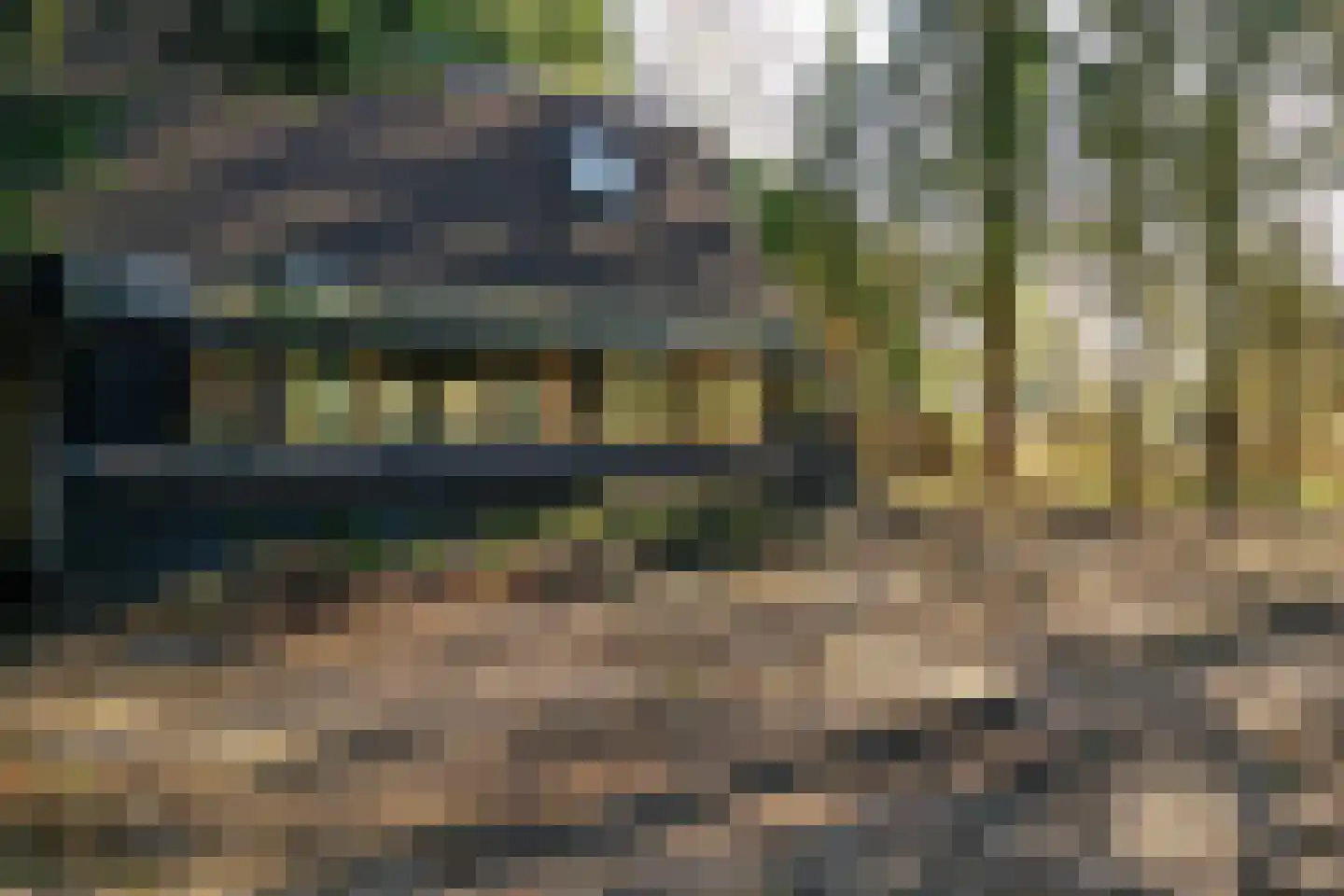 Fresia 39 Vinkel thumbnail 6