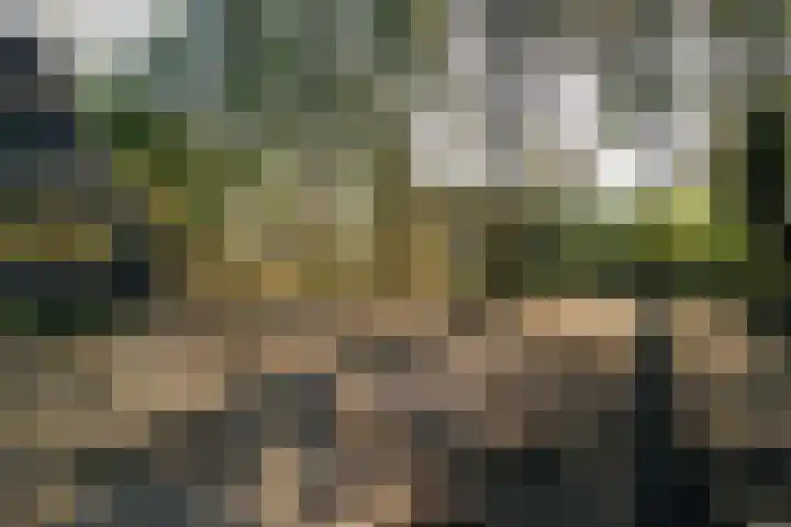 Fresia 39 Vinkel thumbnail 7
