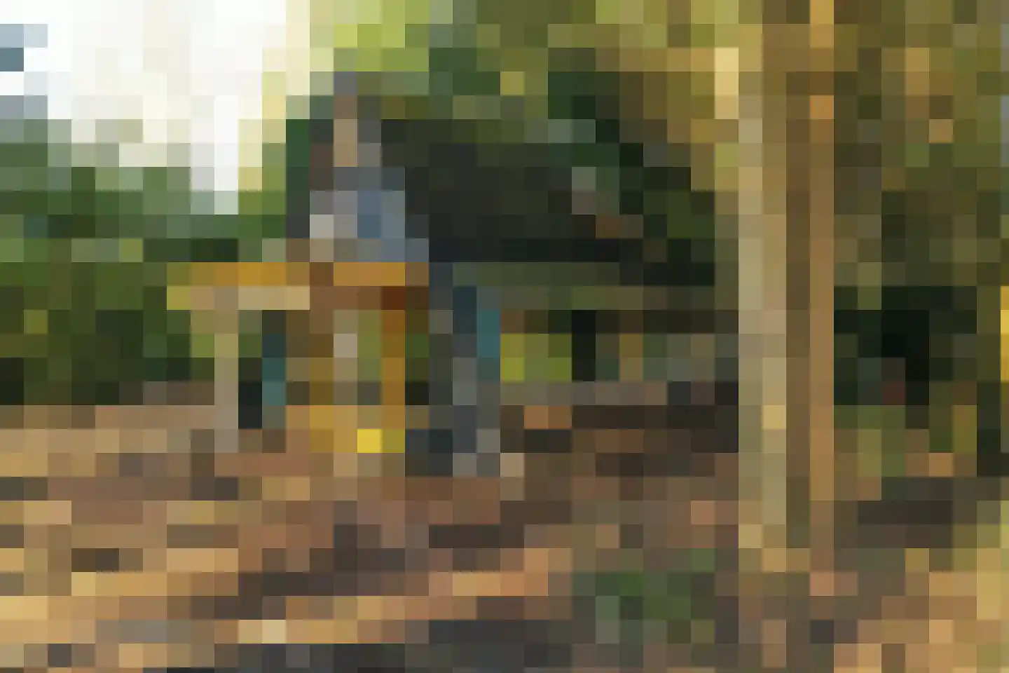 Fresia 39 Vinkel thumbnail 7