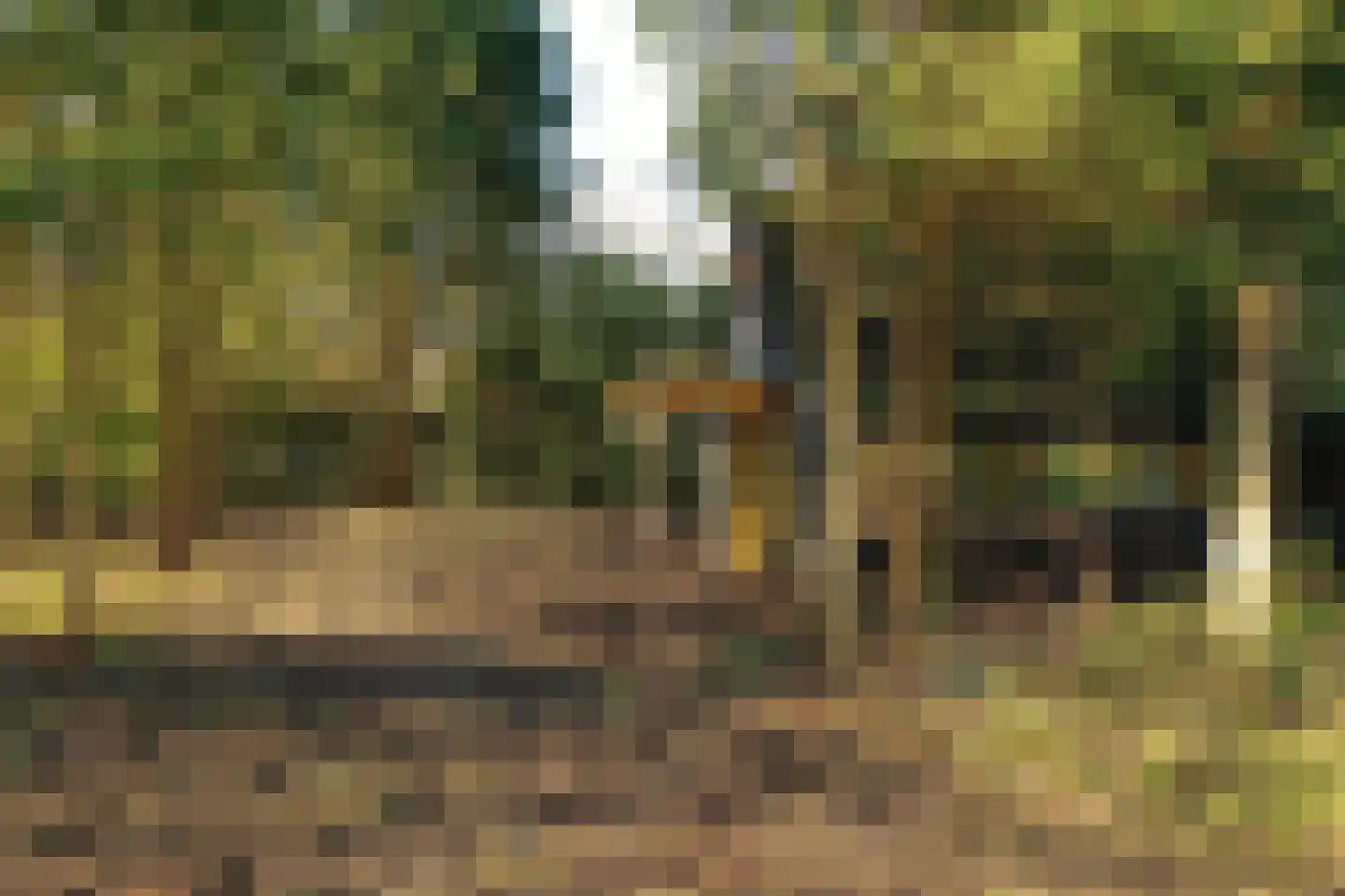 Fresia 39 Vinkel thumbnail 8