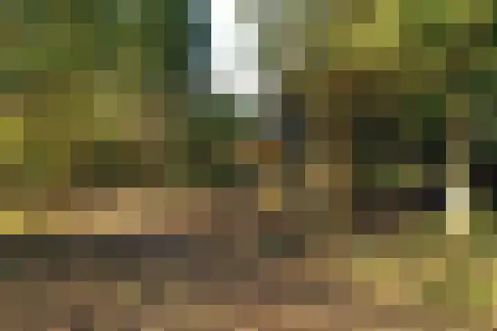 Fresia 39 Vinkel thumbnail 9