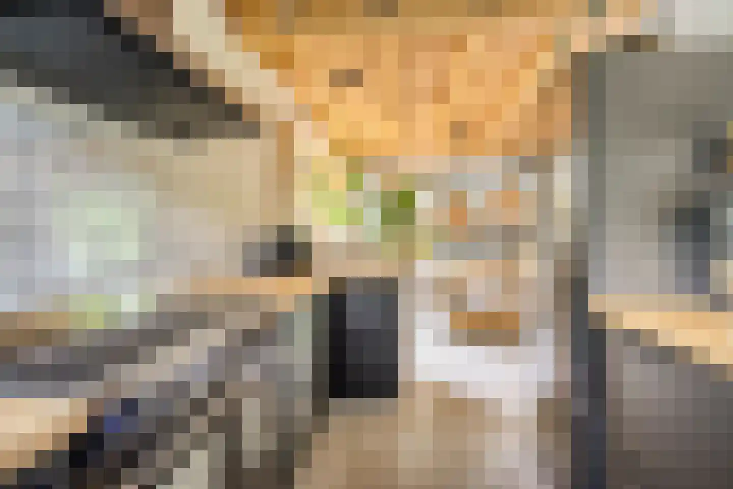 Fresia 4 Vinkel thumbnail 10