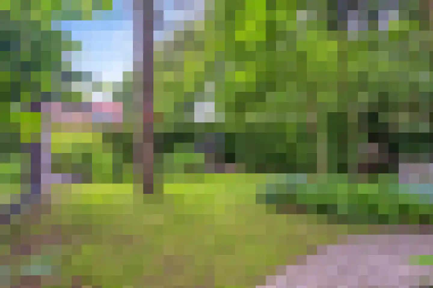 Fresia 4 Vinkel thumbnail 15