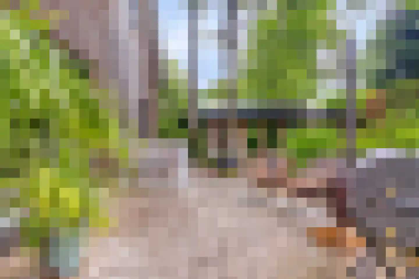 Fresia 4 Vinkel thumbnail 16