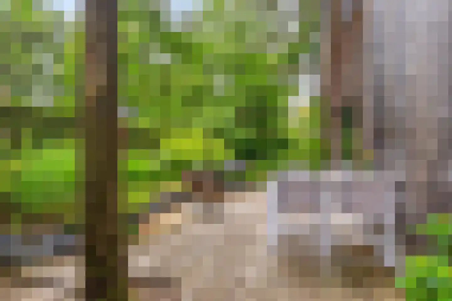 Fresia 4 Vinkel thumbnail 17