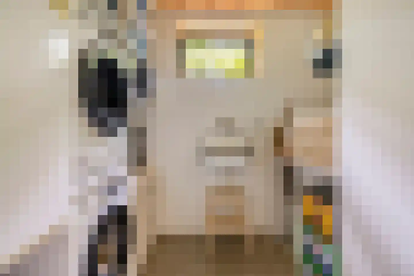 Fresia 4 Vinkel thumbnail 18