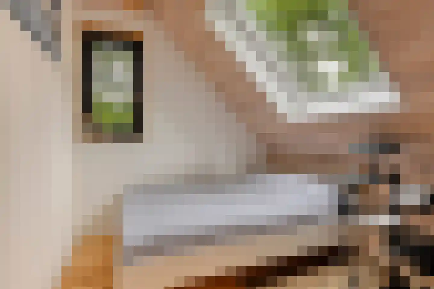Fresia 4 Vinkel thumbnail 23