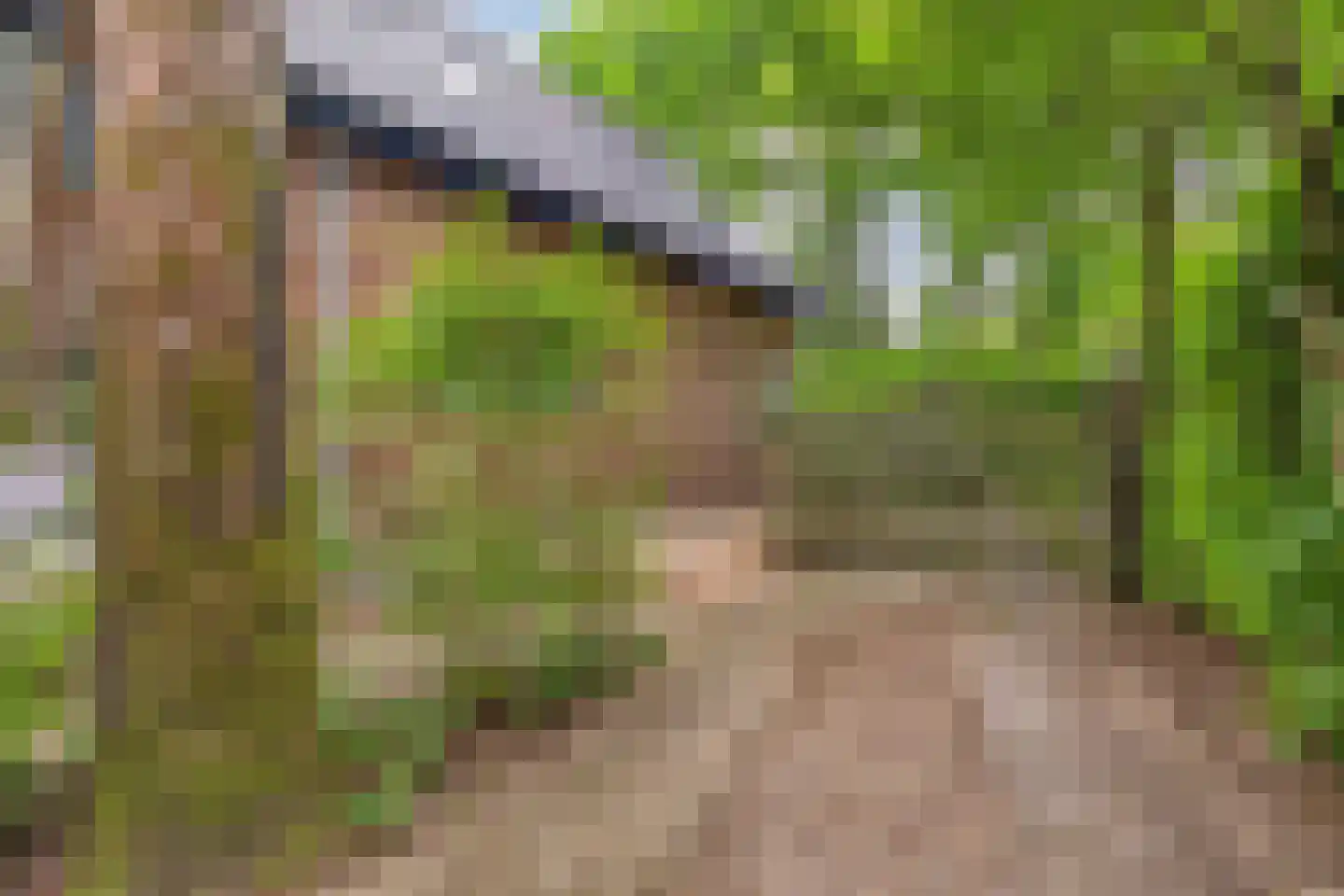 Fresia 4 Vinkel thumbnail 26
