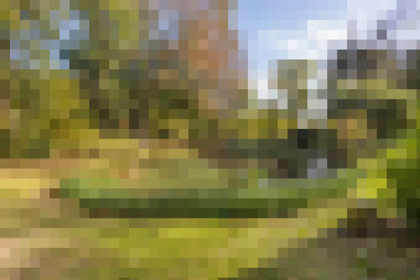 Fresia 4 Vinkel thumbnail 29