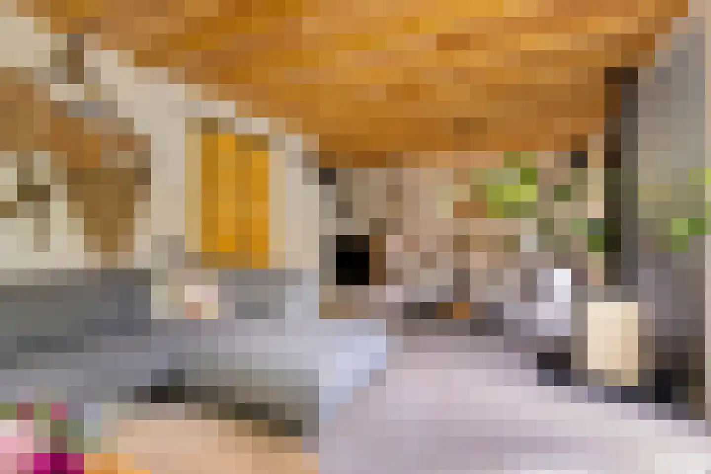 Fresia 4 Vinkel foto 3